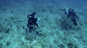 Des membres de la mission Under The Pole photographient les fonds marins, le 16 avril 2023 au large de la Guadeloupe