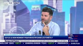 Benoît Loiseau (Forêt et Patrimoine) : est-ce le bon moment pour investir dans les forêts ? - 09/12