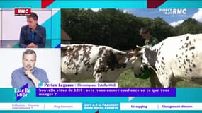L214 porte plainte contre le "leader européen" de chèvres fermiers