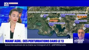 Agriculteurs en colère: des perturbations sur les routes dans les Bouches-du-Rhône
