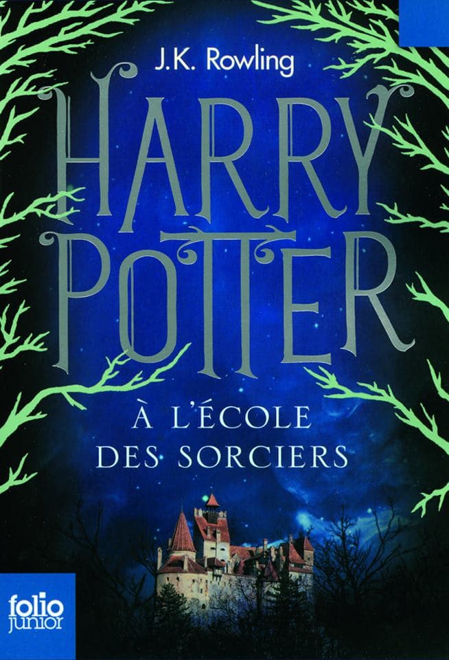 Livres illustrés Harry Potter à l'école des sorciers, Grand format  littérature