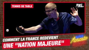 Tennis de table : comment la France est en train de redevenir une "nation majeure"
