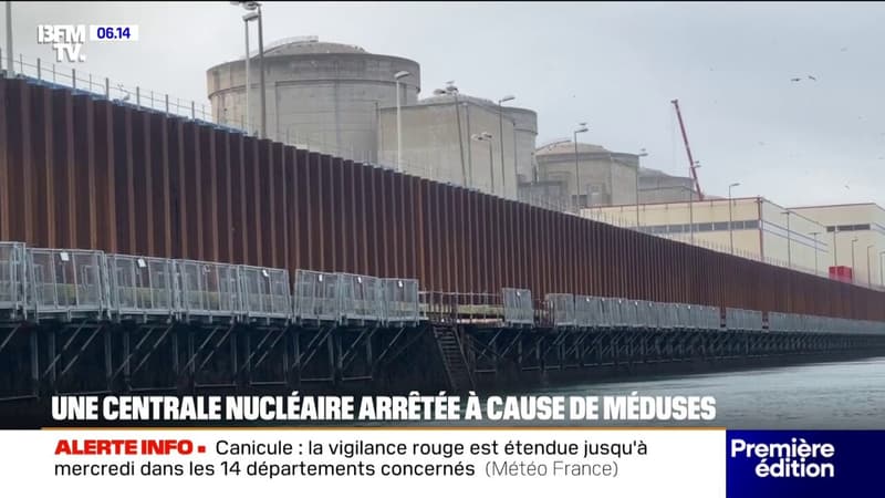 Gravelines: la plus grande centrale nucléaire d'Europe occidentale mise à l'arrêt à cause de méduses