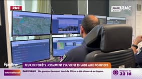 Feux de forêts: comment l'IA vient en aide aux pompiers 