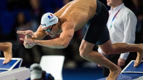 Florent Manaudou.