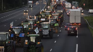 Une manifestation d'agriculteurs