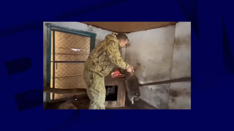 Guerre en Ukraine: un vol de raton laveur devient un symbole du pillage de Kherson par les Russes