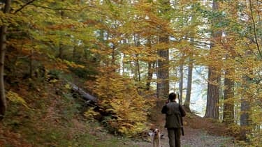 Le quadragénaire aurait glissé alors qu'il se trouvait dans une pente recouverte d'herbe. Or, son fusil n'était pas cassé et un coup est parti accidentellement.