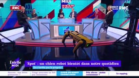 C’est quoi le progrès ? : Spot, un chien robot bientôt dans notre quotidien - 04/03