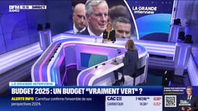 Budget 2025 : un budget "vraiment vert" ?
