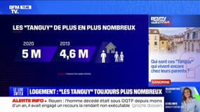 Qui sont ces "Tanguy" qui vivent encore chez leurs parents? BFMTV répond à vos questions