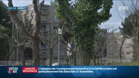 Attentat déjoué à Béziers: la suspecte de 18 ans mise en examen et incarcérée