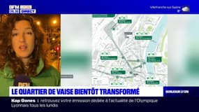 Moins de voitures, plus de vélos: le quartier de Vaise à Lyon entame sa transformation