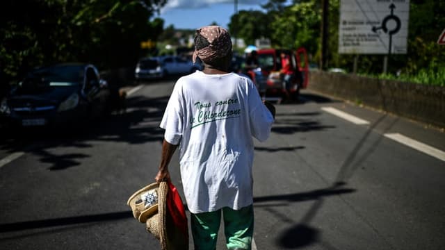 Une femme porte un t-shirt "Tous contre le chlordécone" près d'un barrage routier à La Boucan à Sainte-Rose, à la Guadeloupe, le 29 novembre 2021