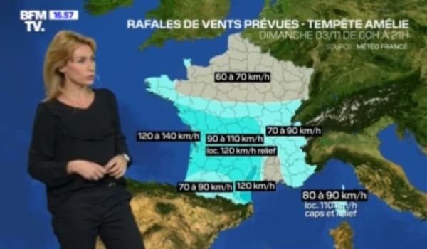 15 départements sont en vigilance organe "vent violent". 15 départements sont en vigilance organe "vent violent".
