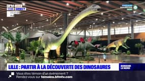 La grande exposition sur les dinosaures arrive au Lille Grand Palais