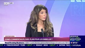 "Je trouve que le terme de "France moche" est extrêmement péjoratif quand on veut en faire un projet de société."