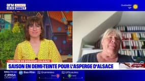 Alsace: une saison en demi-teinte pour l'asperge