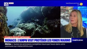 Planète locale du lundi 6 novembre - Monaco, l'AMPN veut protéger les fonds marins 