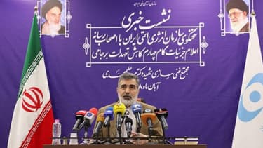 Le porte-parole de l'Organisation iranienne de l'énergie atomique (OIEA), Behrouz Kamalvandi