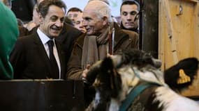 Nicolas Sarkozy a transformé son passage au Salon de l'Agriculture en étape électorale, multipliant les paroles d'apaisement à l'adresse des éleveurs confrontés à la flambée des prix des matières premières. A un an de la présidentielle, le chef de l'Etat