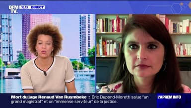 "Notre objectif, c'est d'avoir des eurodéputés": Hélène Thouy, avocate et tête de liste du "Parti animaliste" était en direct sur BFMTV