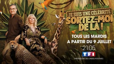 Je suis une célébrité revient sur TF1