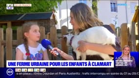  Clamart: une ferme urbaine pour les enfants