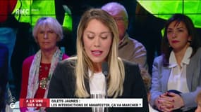 Acte 19 - Interdiction de manifester : "La fermeté, ce n'est pas de la répression !" Rose Ameziane 