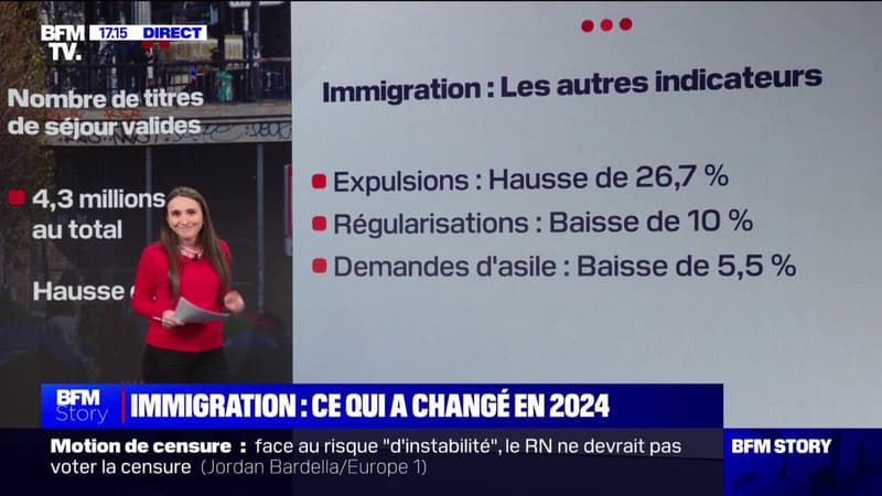 LES ÉCLAIREURS - Les chiffres de l'immigration en 2024