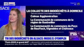 Tri des biodéchets: modes d'emploi pour l'Alsace