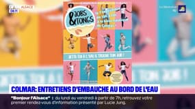 Colmar: des entretiens d'embauche organisés à la base nautique