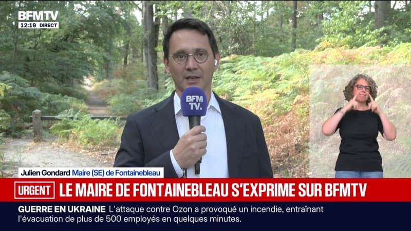 Incendie: le maire de Fontainebleau se dit "soulagé" après la réouverture d'une grande partie de la forêt après les feux de juillet