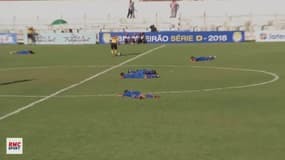 Un match interrompu par... une invasion de guêpes au Brésil