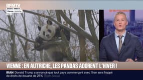 Le break du mardi 13 janvier