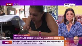 Comment faire garder son animal sans se ruiner cet été? 