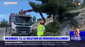 Bouches-du-Rhône: débroussailler pour réduire le risque d'incendie