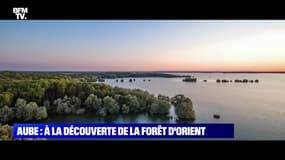 Aube: à la découverte de la Forêt d'Orient - 05/06