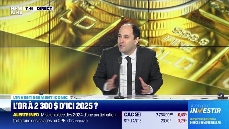 L'investissement Iconic : L'or à 2 300 dollars d'ici 2025 ? - 19/02