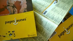 Propriétaire du légendaire annuaire des PagesJaunes, SoLocal Group lance désormais une plateforme en ligne qui recense les professionnels écoreponsables. (image d'illustration). 
