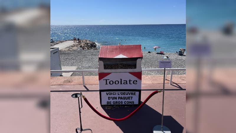 Au total, 10.000 mégots ont été ramassés sur la plage, grâce au collectif Nice Plogging.