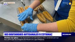 Passions Provence du samedi 13 janvier 2024 - Des boutargues artisanales à Cotignac