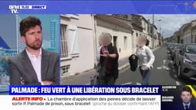 Pierre Palmade: la cour d'appel de Bordeaux autorise sa libération sous bracelet électronique 