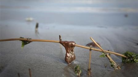 Résidus pétrolifères sur une plage de Southwest Pass, en Louisiane. BP a annoncé dimanche qu'il avait testé avec succès un système de siphonnage du pétrole provenant du puits accidenté à l'origine d'une gigantesque marée noire dans le golfe du Mexique. /P