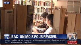 Baccalauréat : il reste un mois pour réviser