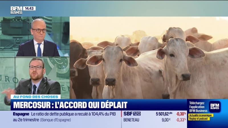 Au fond des choses : Le Brésil dans l'ère post-Bolsonaro - 18/11