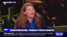 Colère des agriculteurs à Paris: "Il faut qu'on fasse attention collectivement à ne pas être les otages de ces actions coup de poing", pour Ilana Cicurel (député européenne Renaissance)