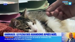 Le journal de 8h du mardi 6 janvier 2026