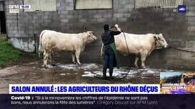 Salon de l'agriculture annulé : les agriculteurs du Rhône déçus