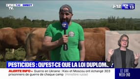 Colère agricole: "S'il faut bloquer toutes les frontières, on sera partants pour le faire", assure Jérôme Bayle 
